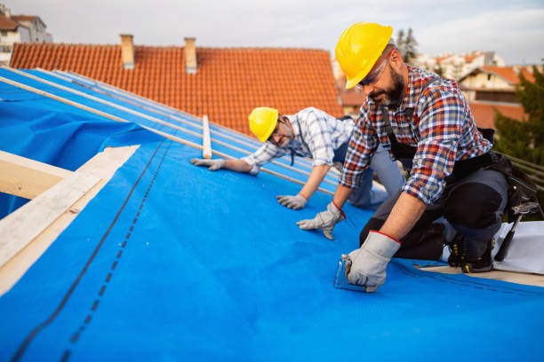 Best Roof Leak Repair  in Roland, IA
